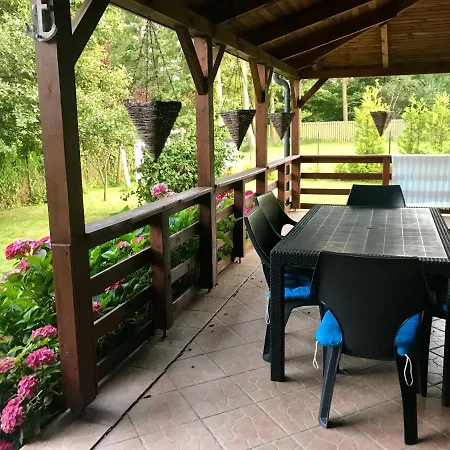 Hortensja * Białogóra