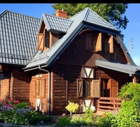 Hortensja * Białogóra